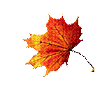 Image result for fall leaf